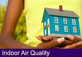 Indoor Air Quality